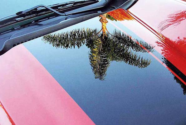 2002 Pontiac Trans Am - A Miracle Detailing - Boynton Beach, FL