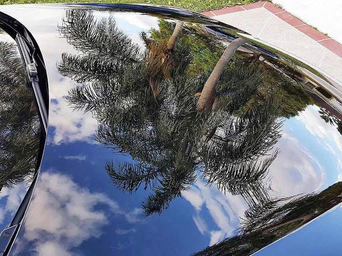 Paint polished to a show car finish