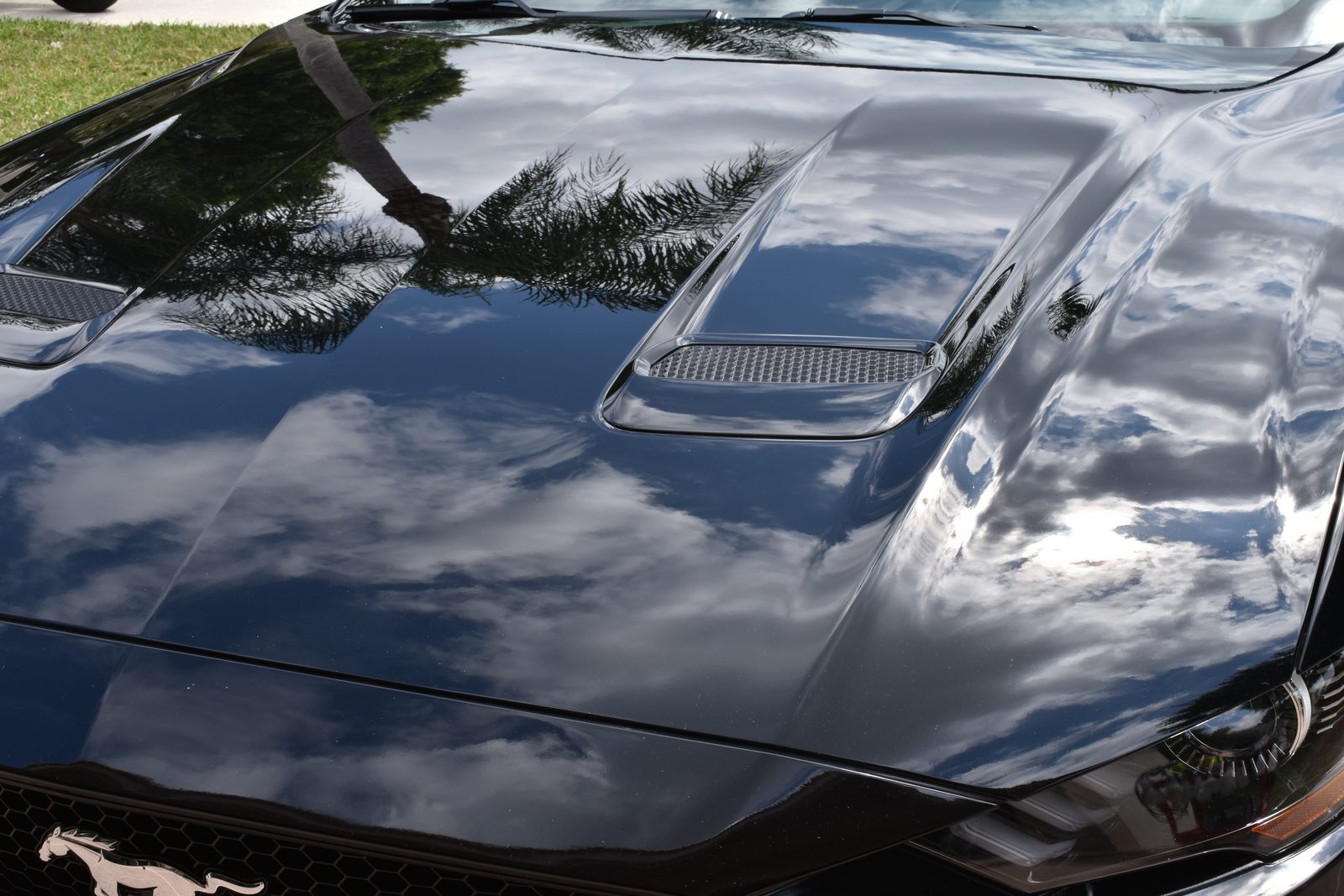 2018 Ford Mustang GT hood after paint refinement and CQUARTZ Finest Reserve ceramic coating