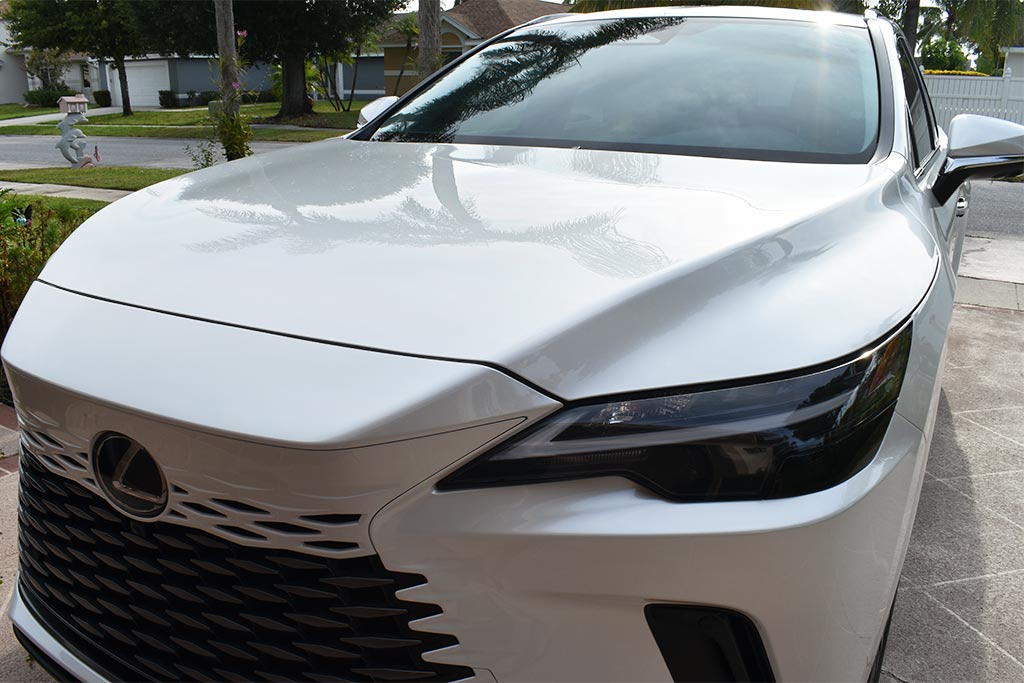2025-Lexus-RX-350-1.jpg